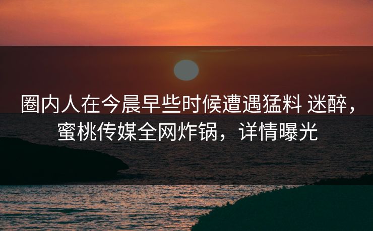 圈内人在今晨早些时候遭遇猛料 迷醉，蜜桃传媒全网炸锅，详情曝光