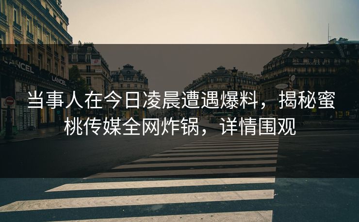 当事人在今日凌晨遭遇爆料，揭秘蜜桃传媒全网炸锅，详情围观