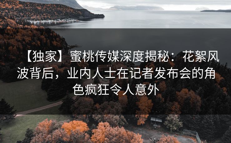 【独家】蜜桃传媒深度揭秘：花絮风波背后，业内人士在记者发布会的角色疯狂令人意外