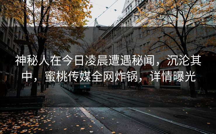 神秘人在今日凌晨遭遇秘闻，沉沦其中，蜜桃传媒全网炸锅，详情曝光