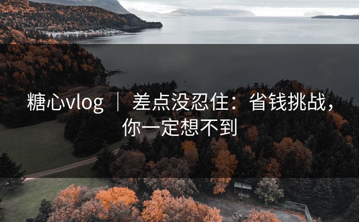 糖心vlog ｜ 差点没忍住：省钱挑战，你一定想不到
